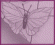 Layouts
