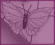 Layouts